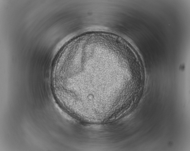 X0000114161245200911051457