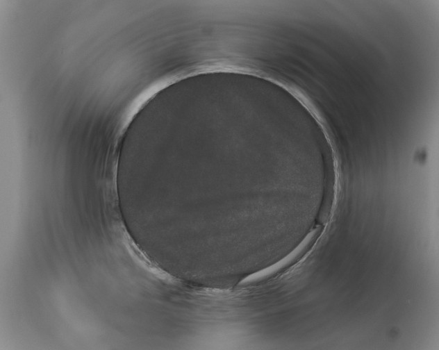 X0000114161246200911051457