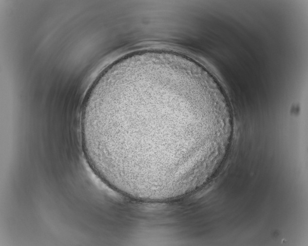 X0000114161247200911051457