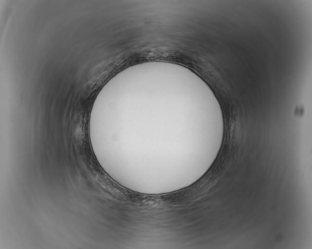 X0000114161250200911051457