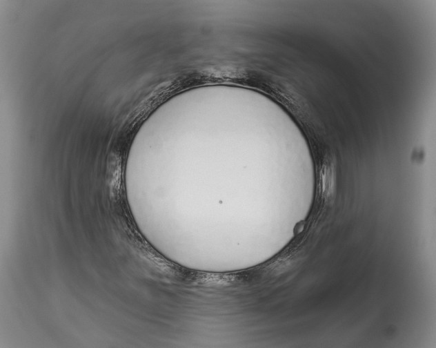 X0000114161251200911051457