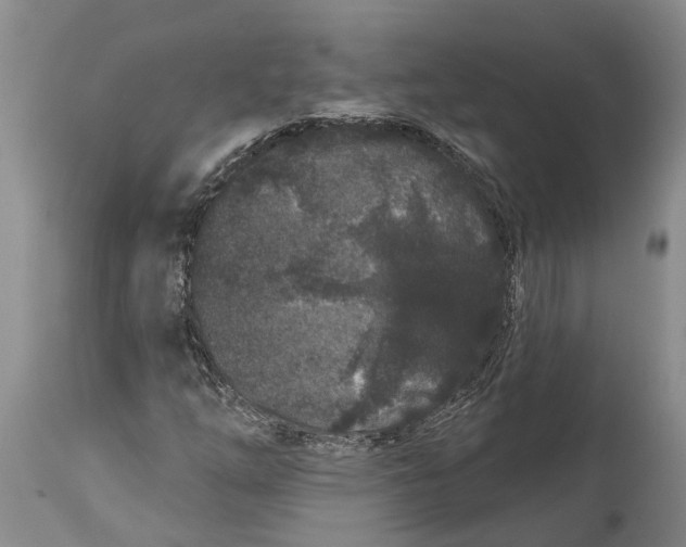 X0000114161254200911051457