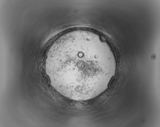 X0000114161255200911051457