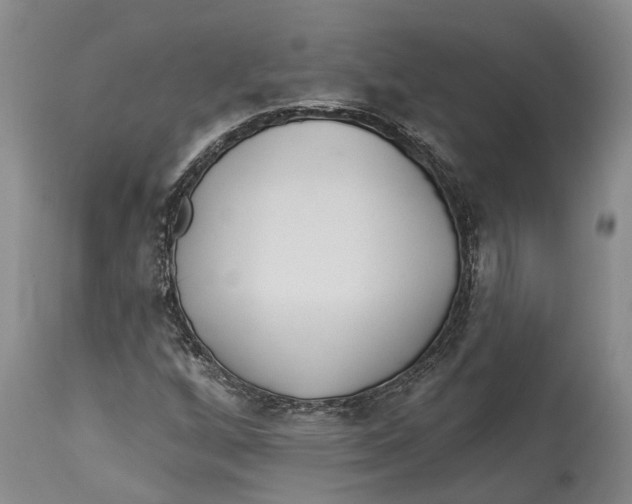 X0000114161256200911051457