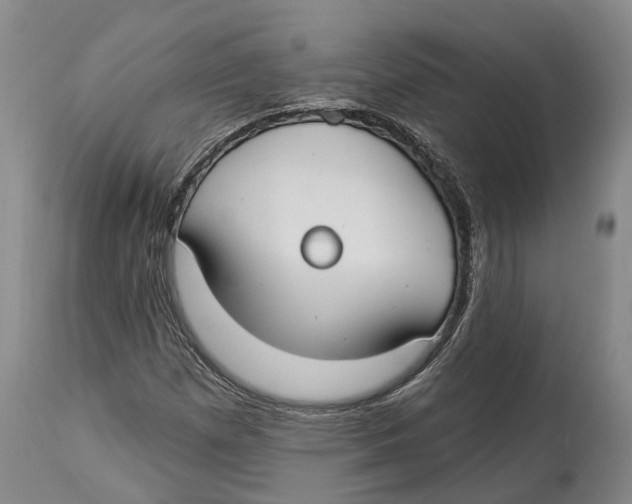 X0000114161257200911051457