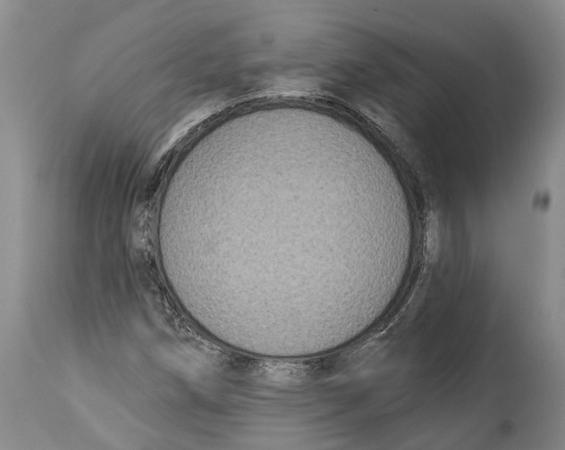 X0000114161258200911051457