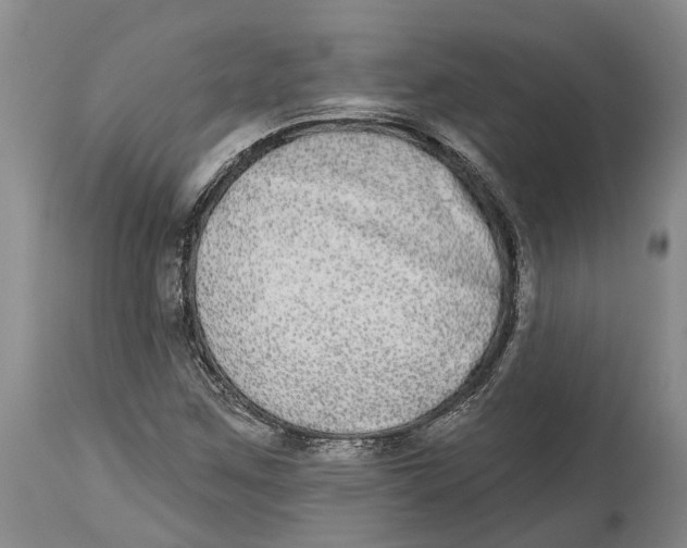 X0000114161259200911051457