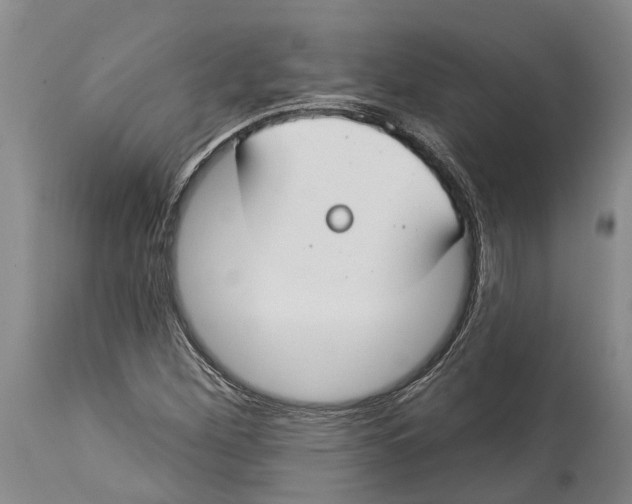 X0000114161260200911051457