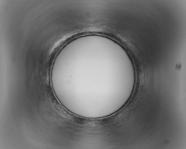 X0000114161262200911051456