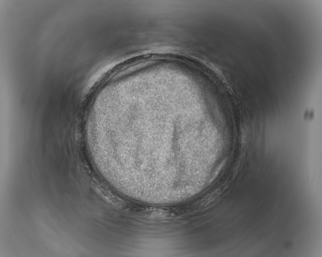 X0000114161263200911051456