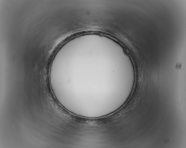 X0000114161264200911051456