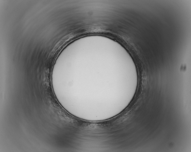 X0000114161265200911051456