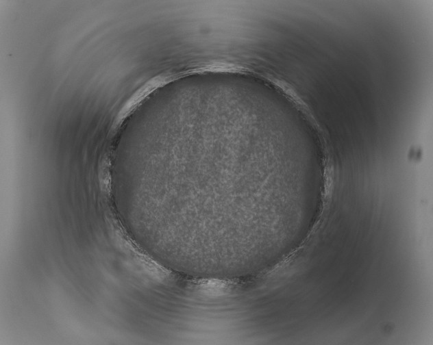 X0000114161266200911051456