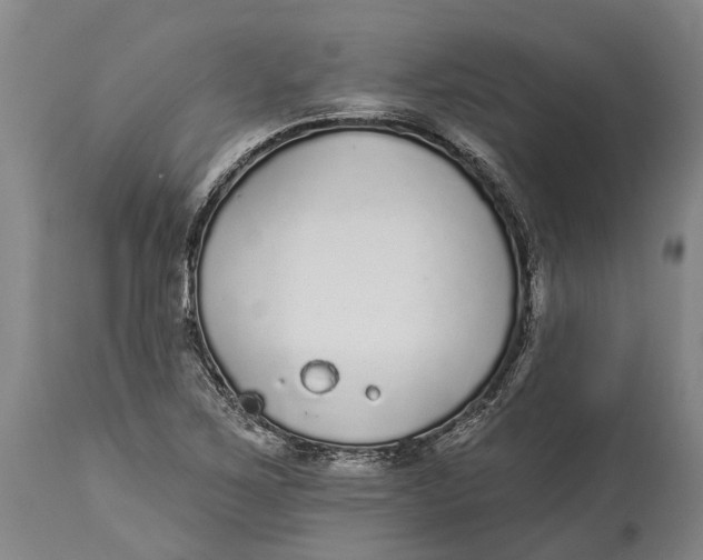 X0000114161267200911051456