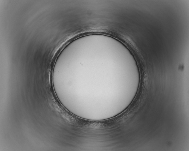 X0000114161268200911051456