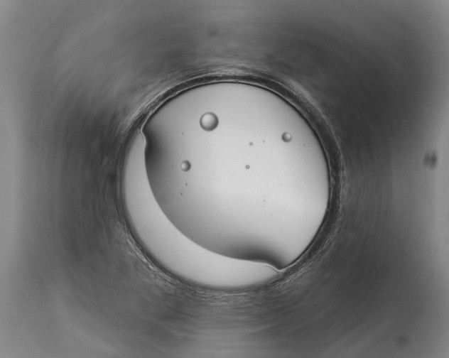 X0000114161269200911051456