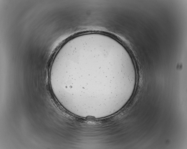 X0000114161271200911051456