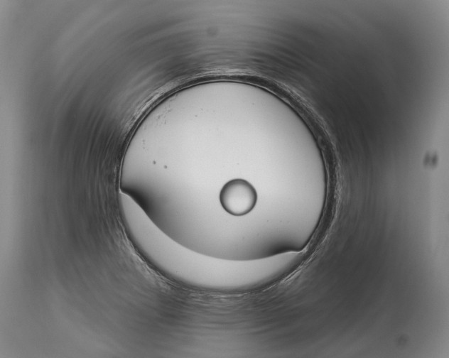 X0000114161273200911051456