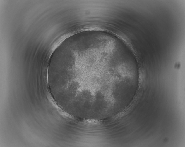 X0000114161274200911051456