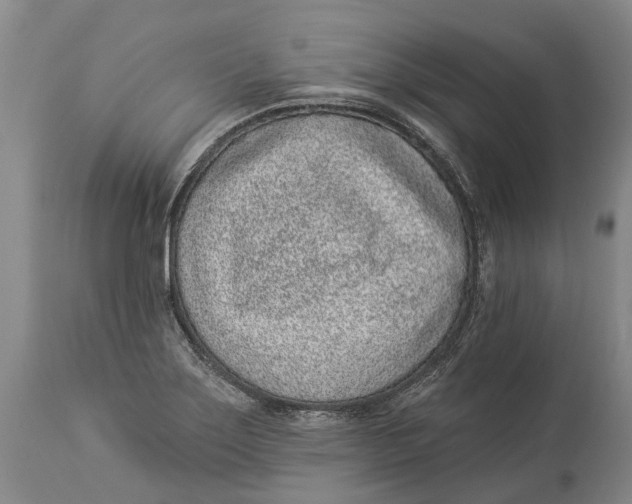 X0000114161275200911051456