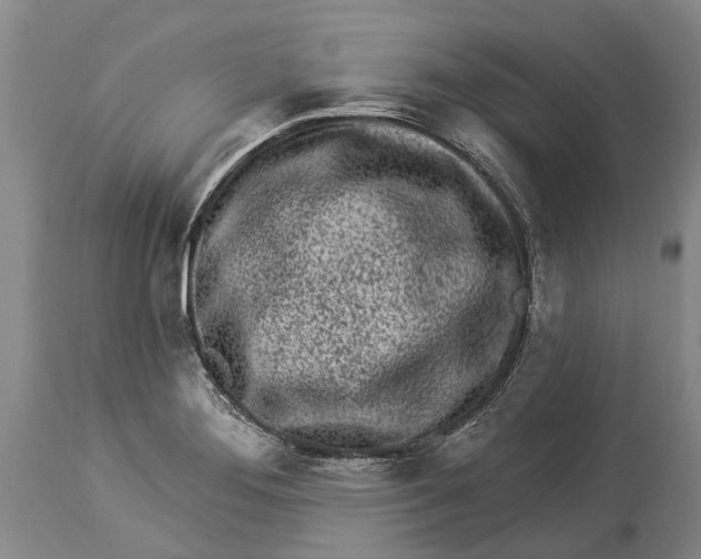 X0000114161276200911051456