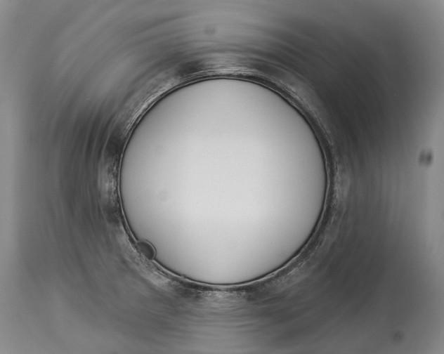 X0000114161281200911051456