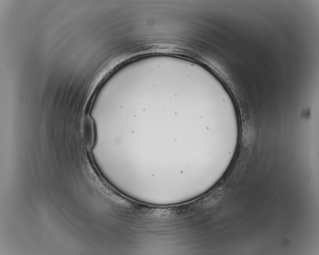 X0000114161283200911051456