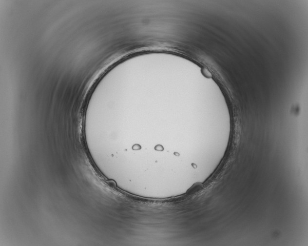 X0000114161284200911051456