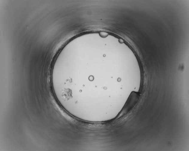 X0000114161285200911051456