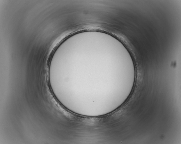 X0000114161286200911051456