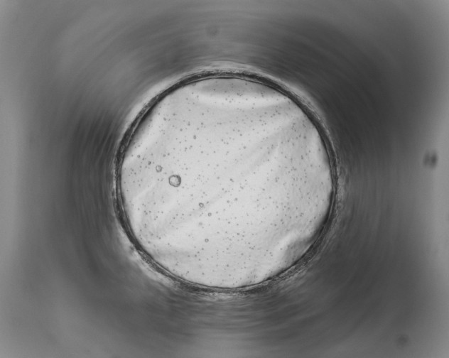 X0000114161287200911051456