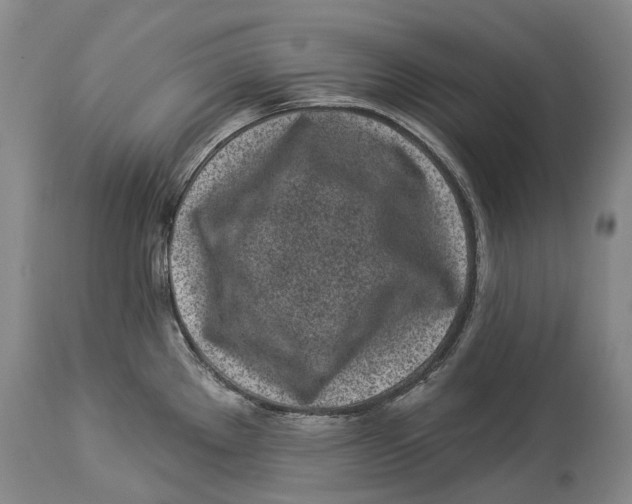 X0000114161289200911051456