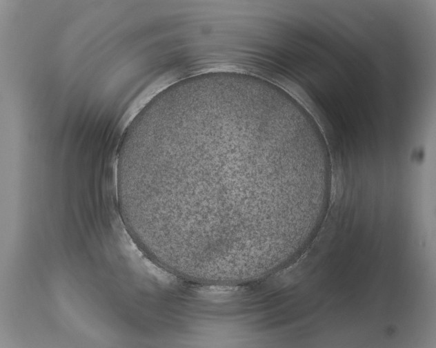 X0000114161290200911051456