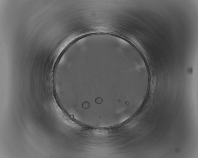 X0000114161291200911051456