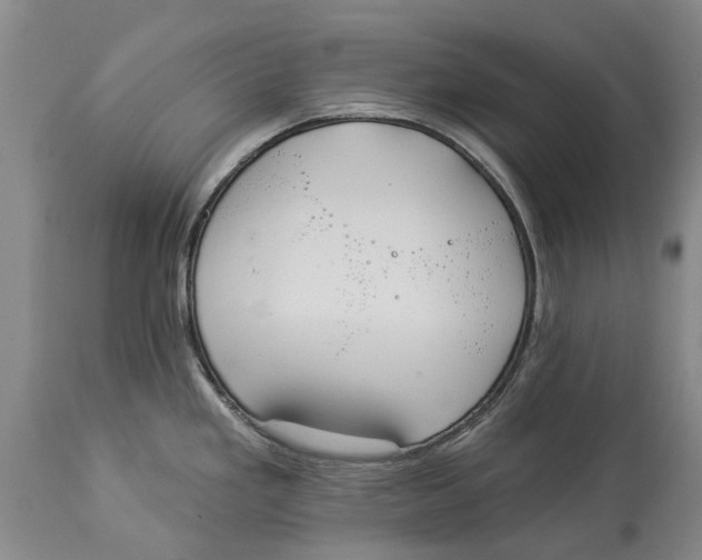 X0000114161293200911051456