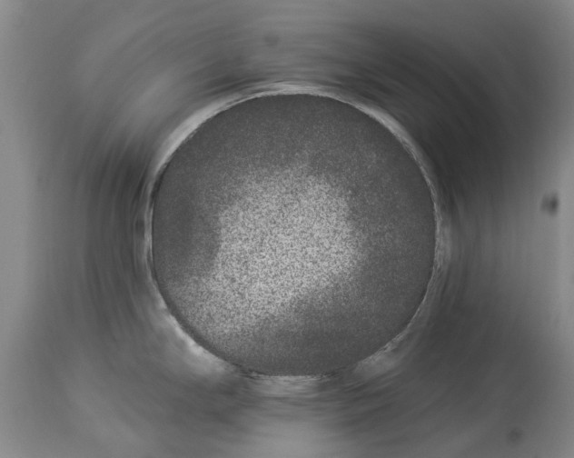 X0000114161294200911051456