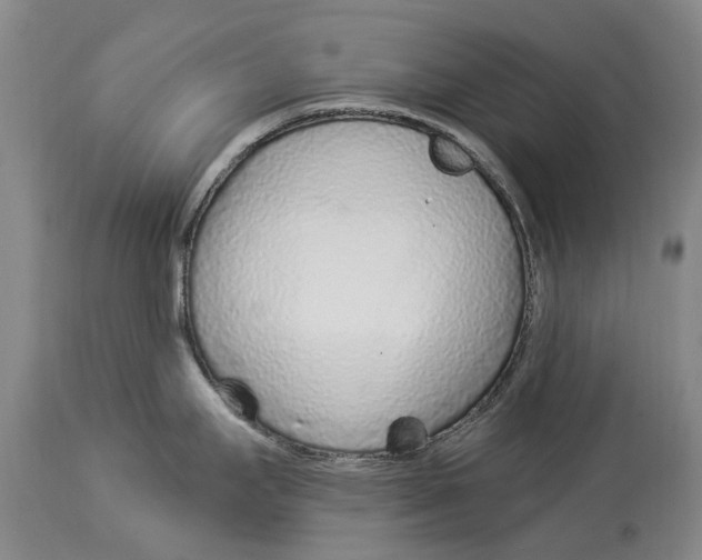 X0000114161295200911051456