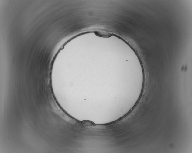 X0000114161296200911051456