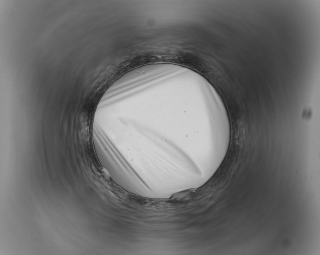 X0000114161298200911051455