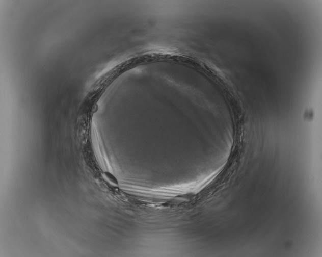 X0000114161303200911051455