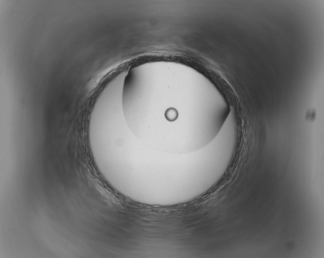 X0000114161304200911051455