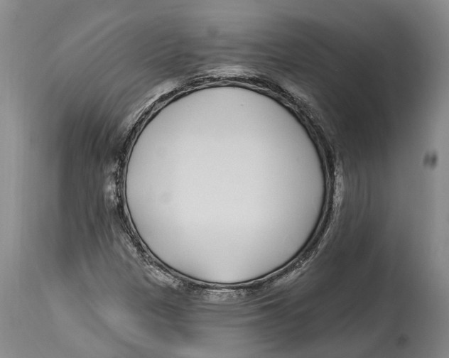 X0000114161305200911051455