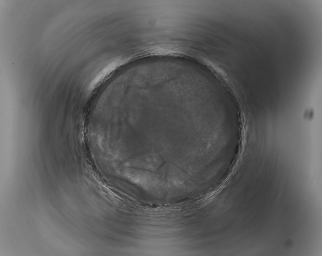 X0000114161306200911051455