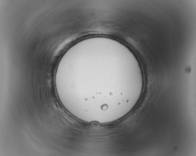 X0000114161307200911051456