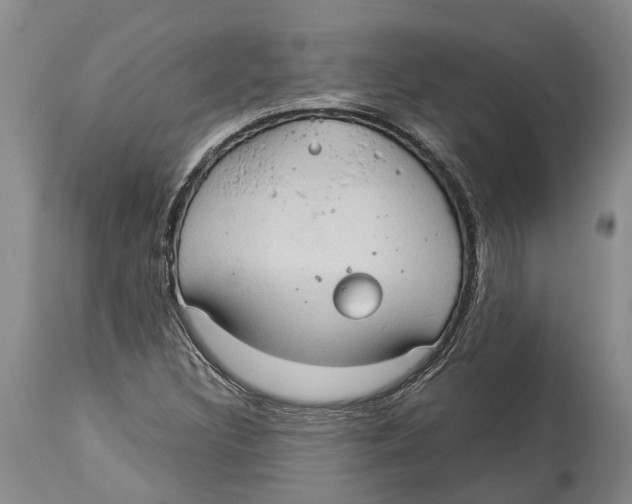 X0000114161308200911051456