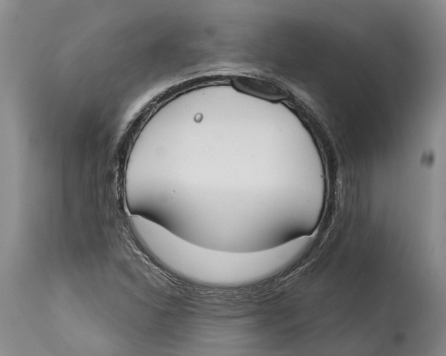 X0000114161310200911051456