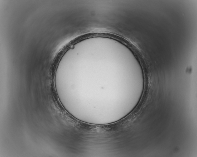 X0000114161311200911051456