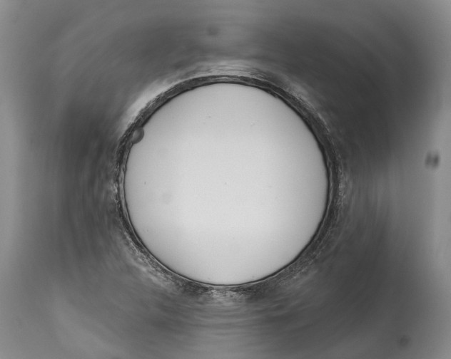 X0000114161312200911051456