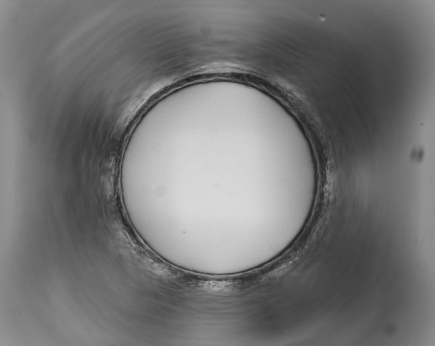 X0000114161313200911051456