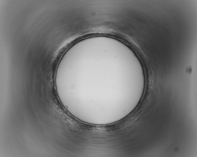 X0000114161315200911051456